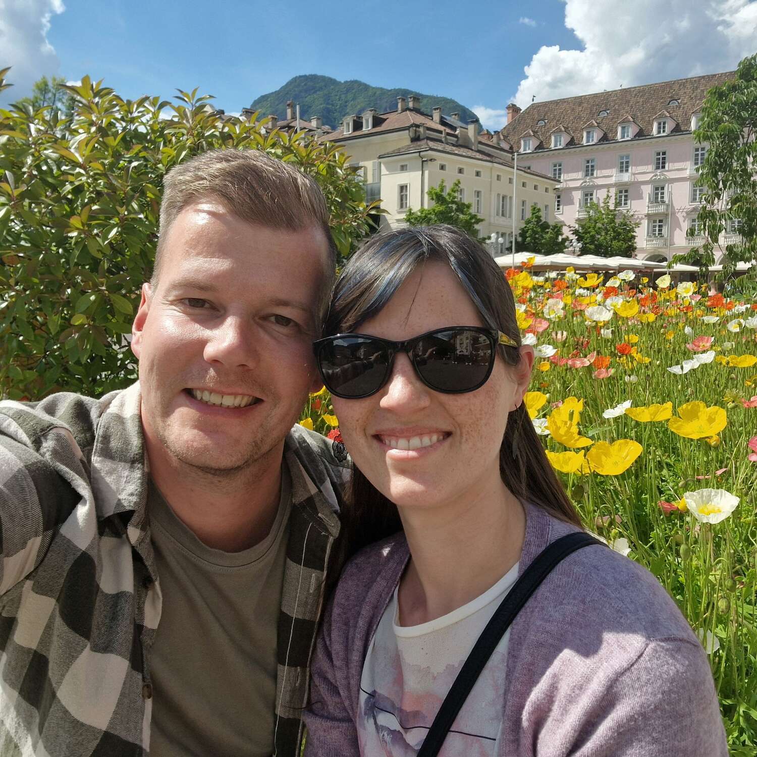 immer der Sonne nach