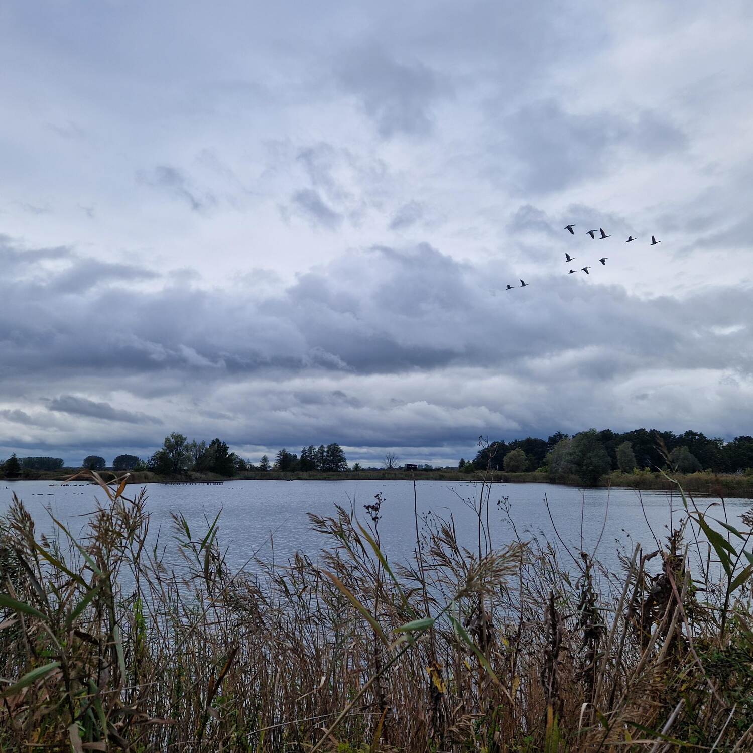 Ausflug nach Linum