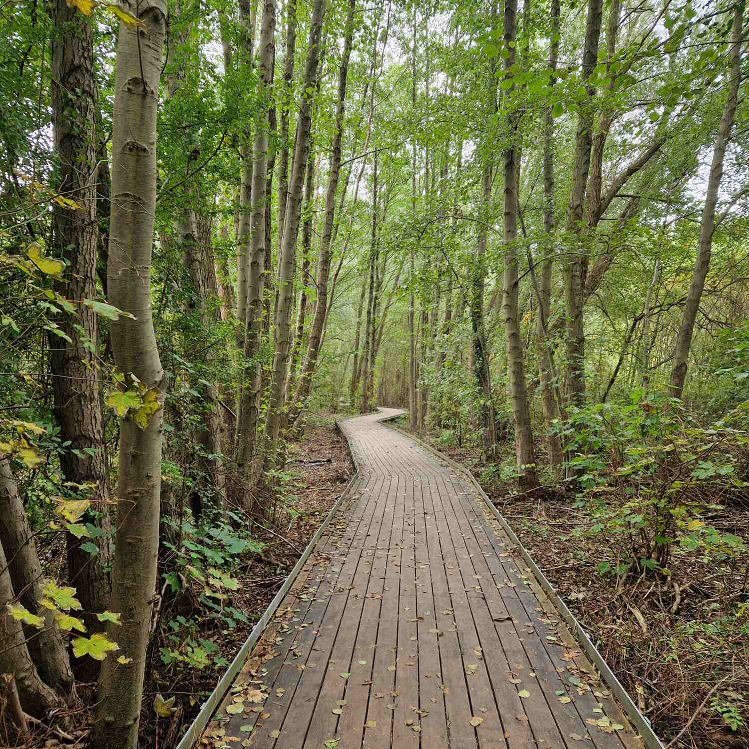 kleine Wanderung Lübars