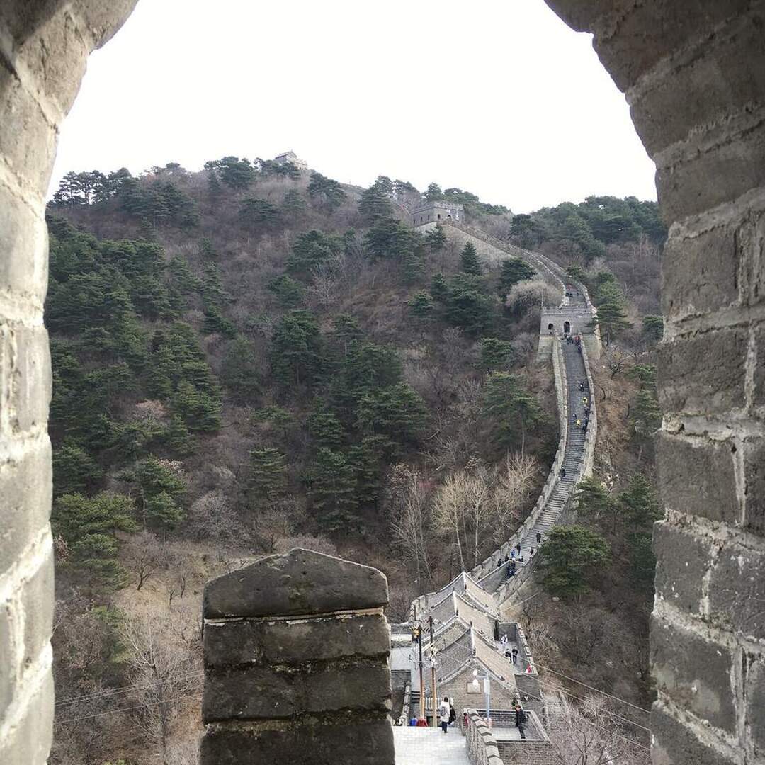 Peking