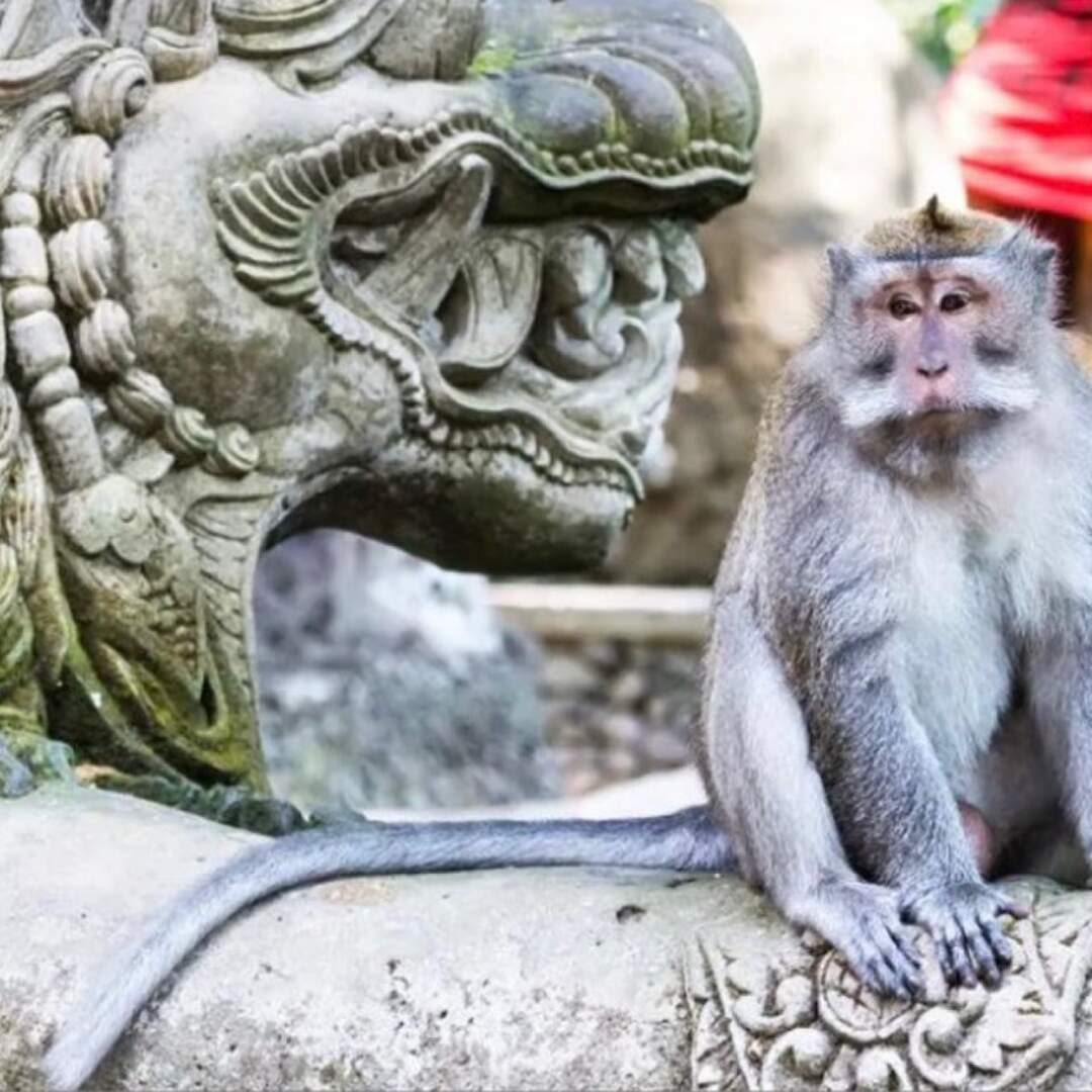 Bali 2019