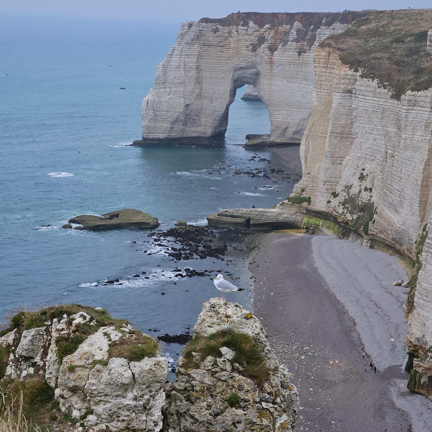 Normandie