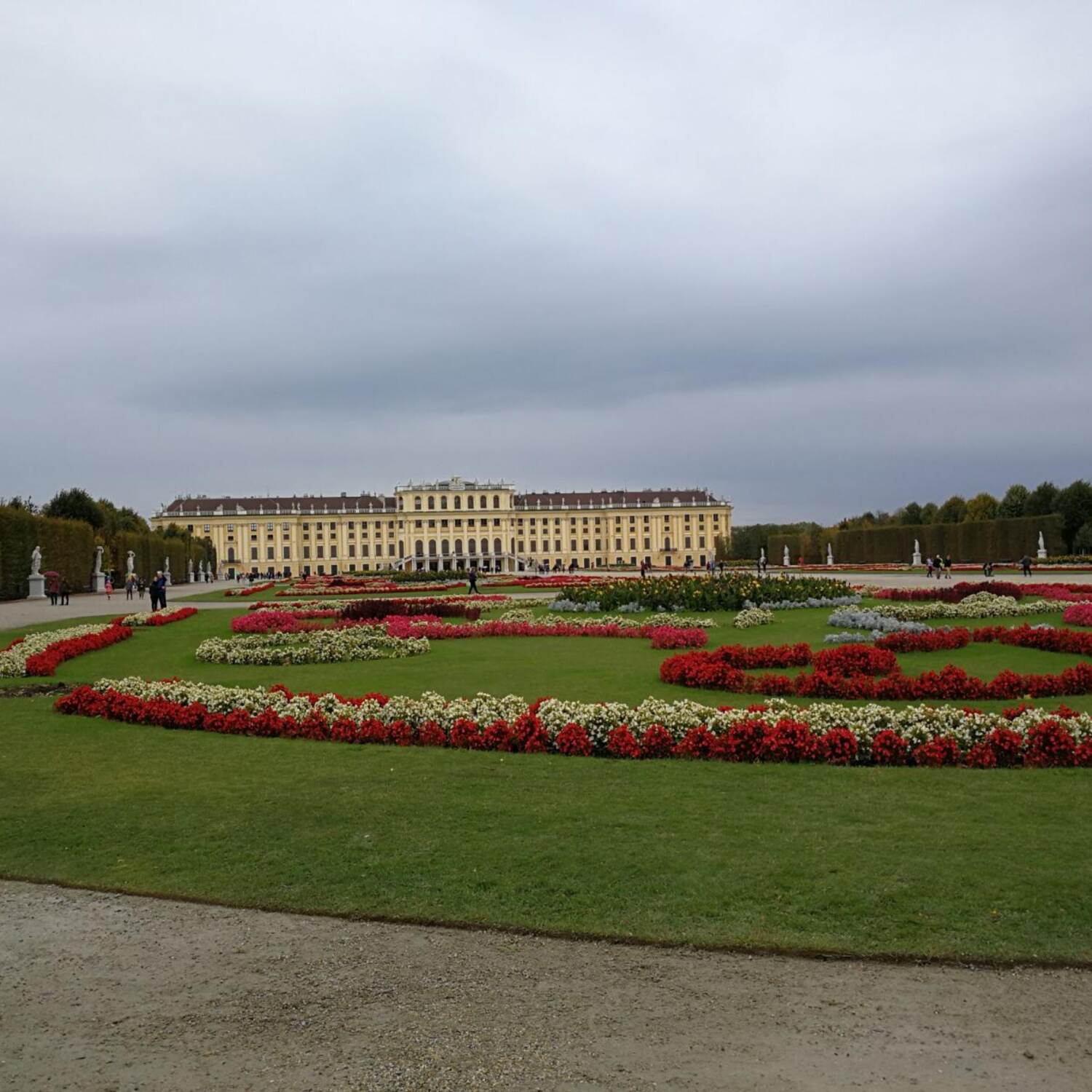 Bayern - Wien