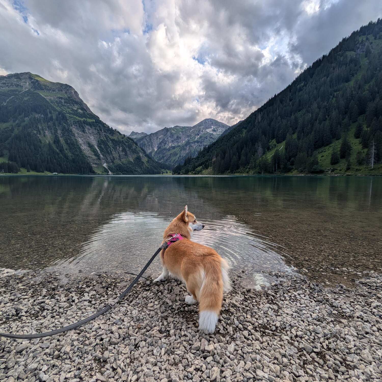 Tirol 2024