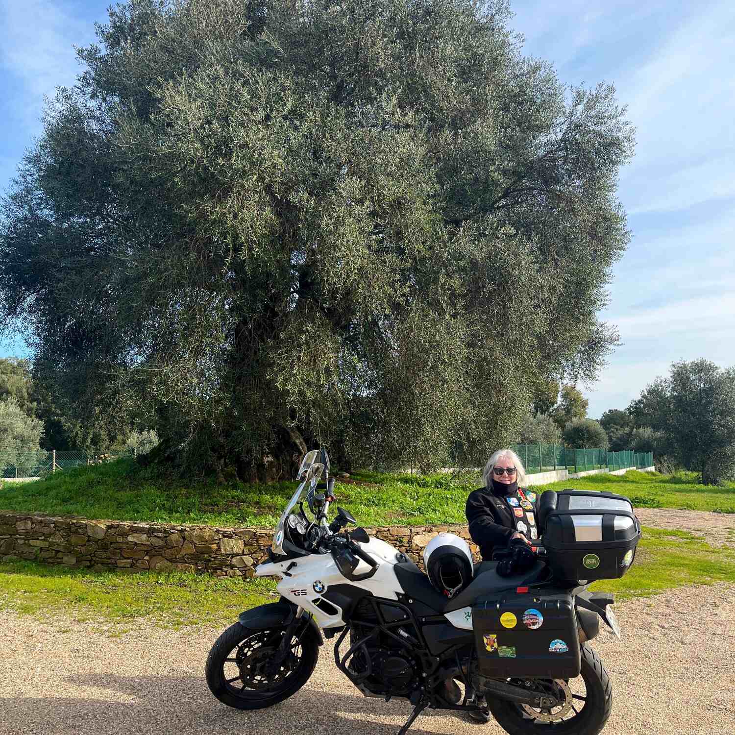 Oliveira de Mouchão