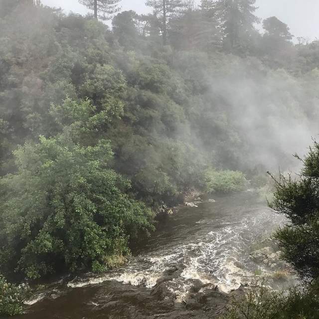 New Zealand 2017