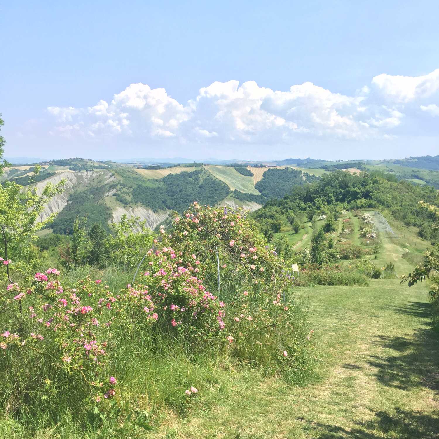 Museo Giardino Rosa Antica