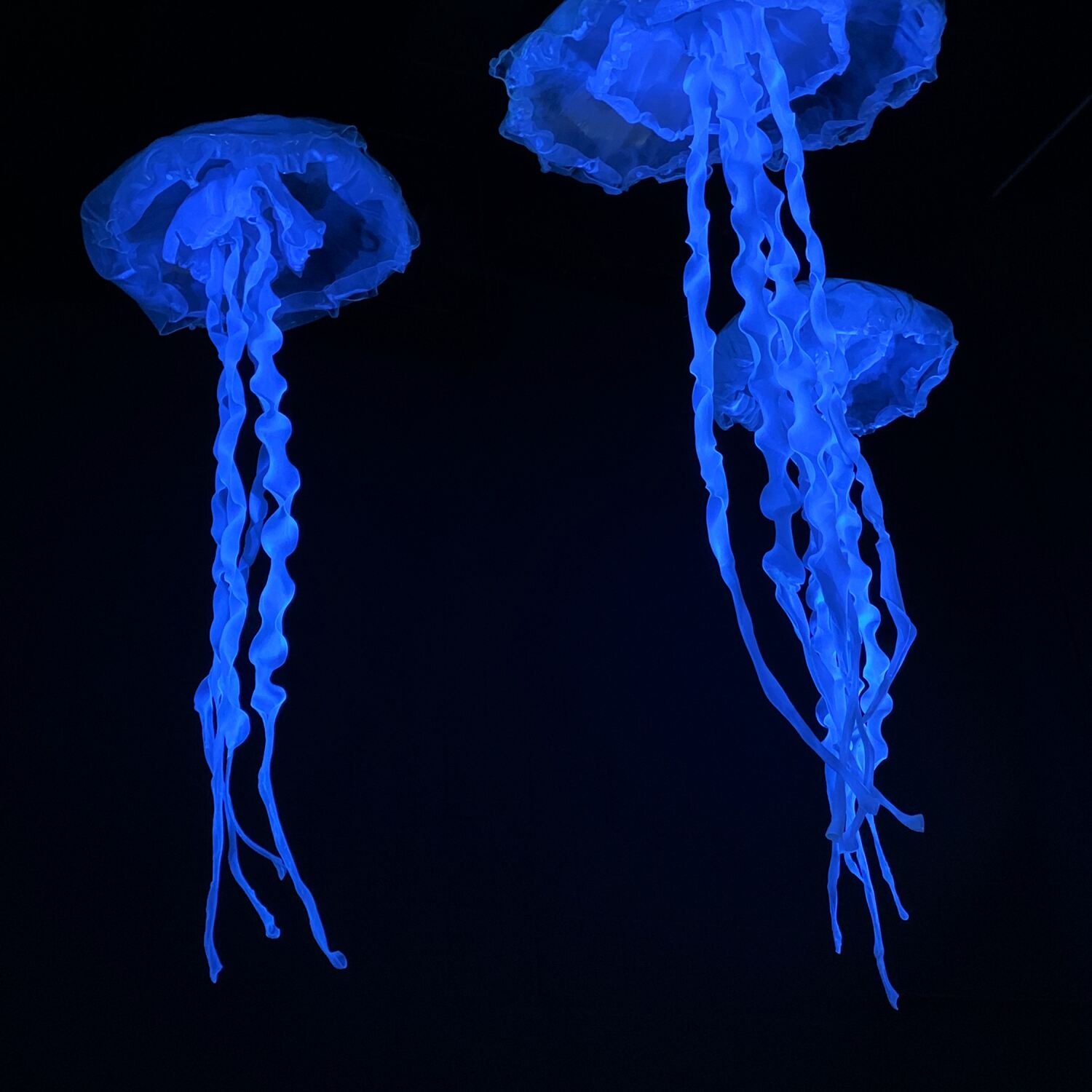 Winterausflug nach Rügen