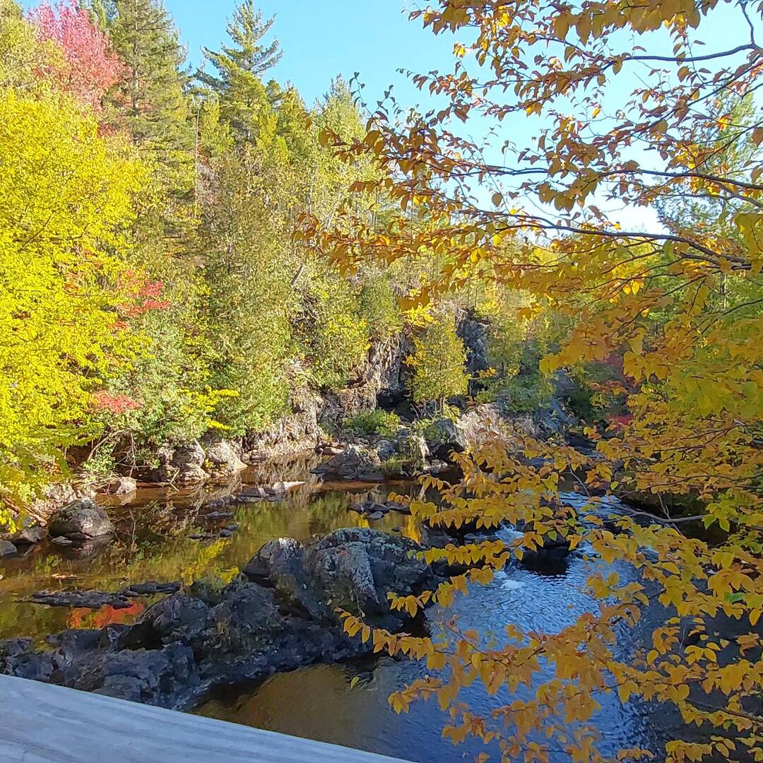 2022 Leaf Peeping/Waterfalling