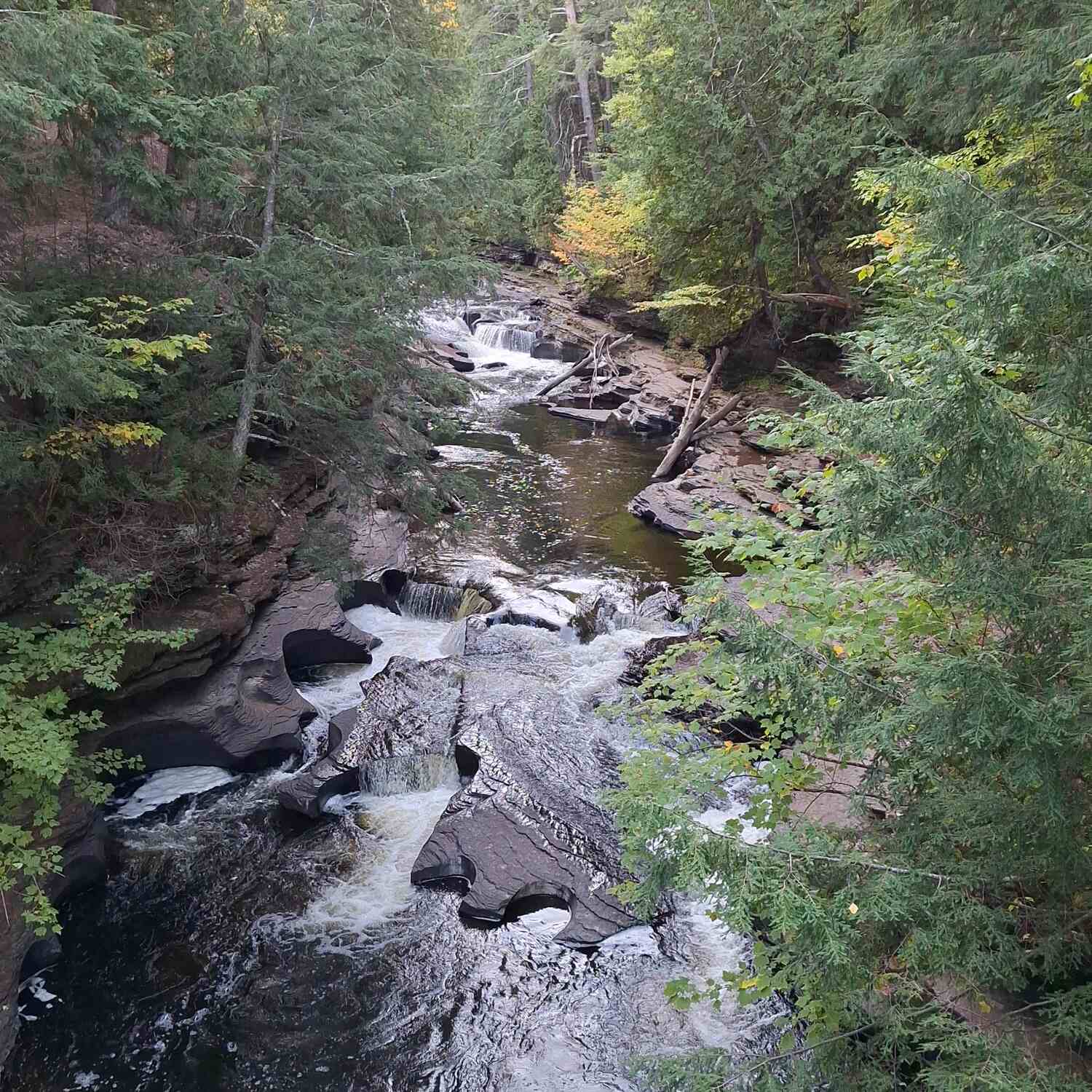 2024 Northern Leaf Peeping