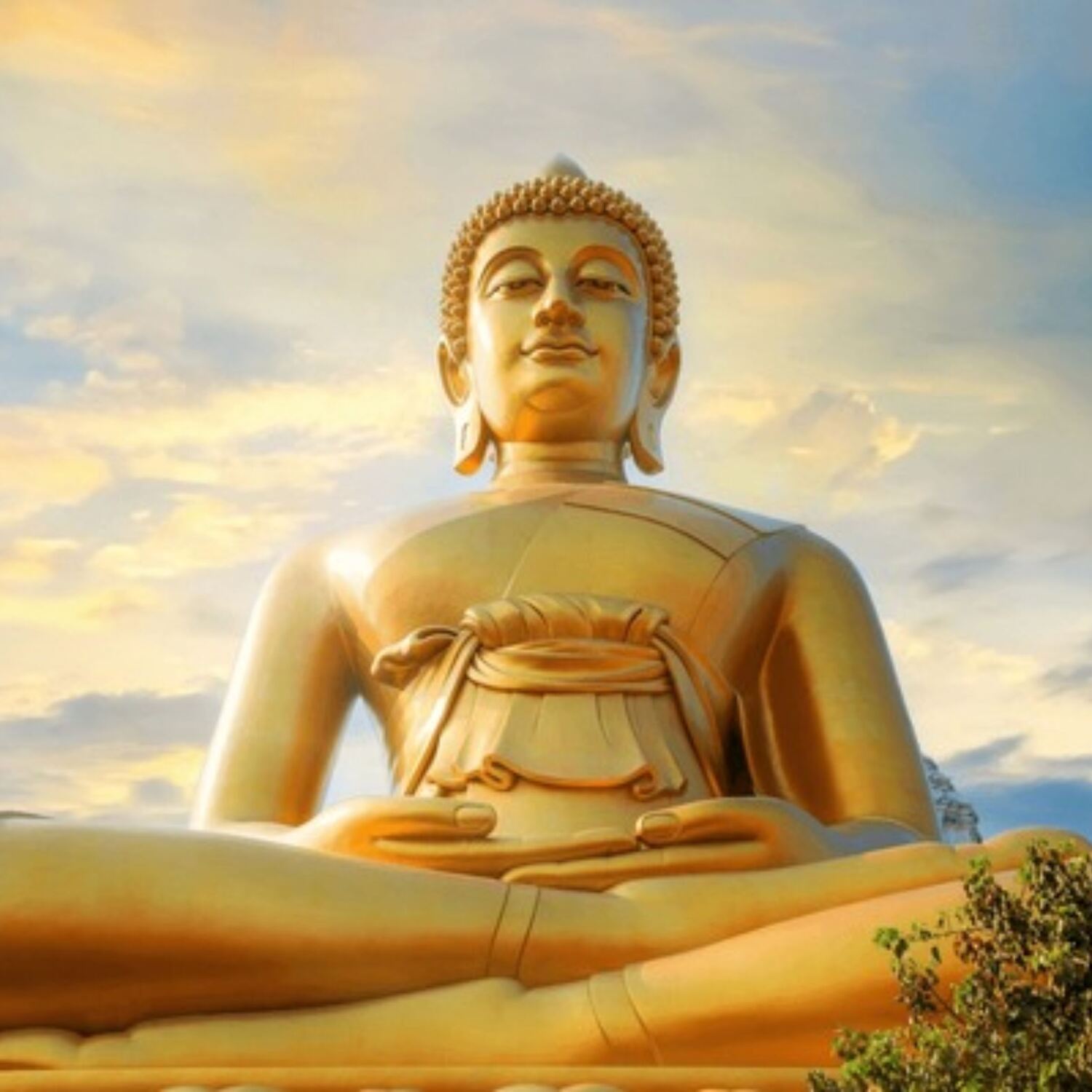 Start 2026 with Buddha