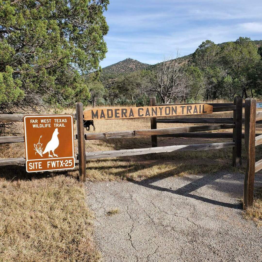 Big Bend, TX