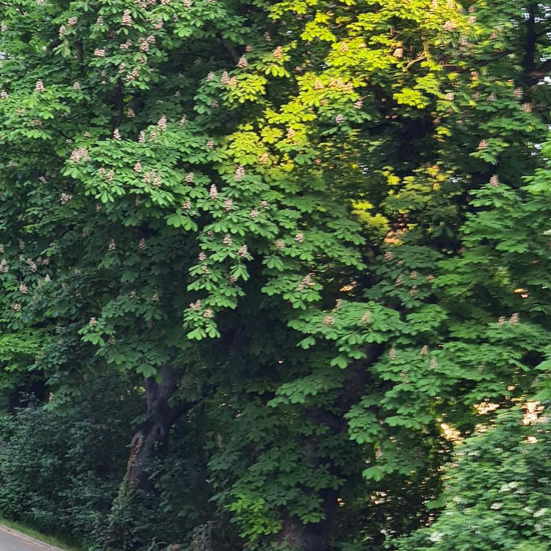 Zuhause ist doch am schönsten