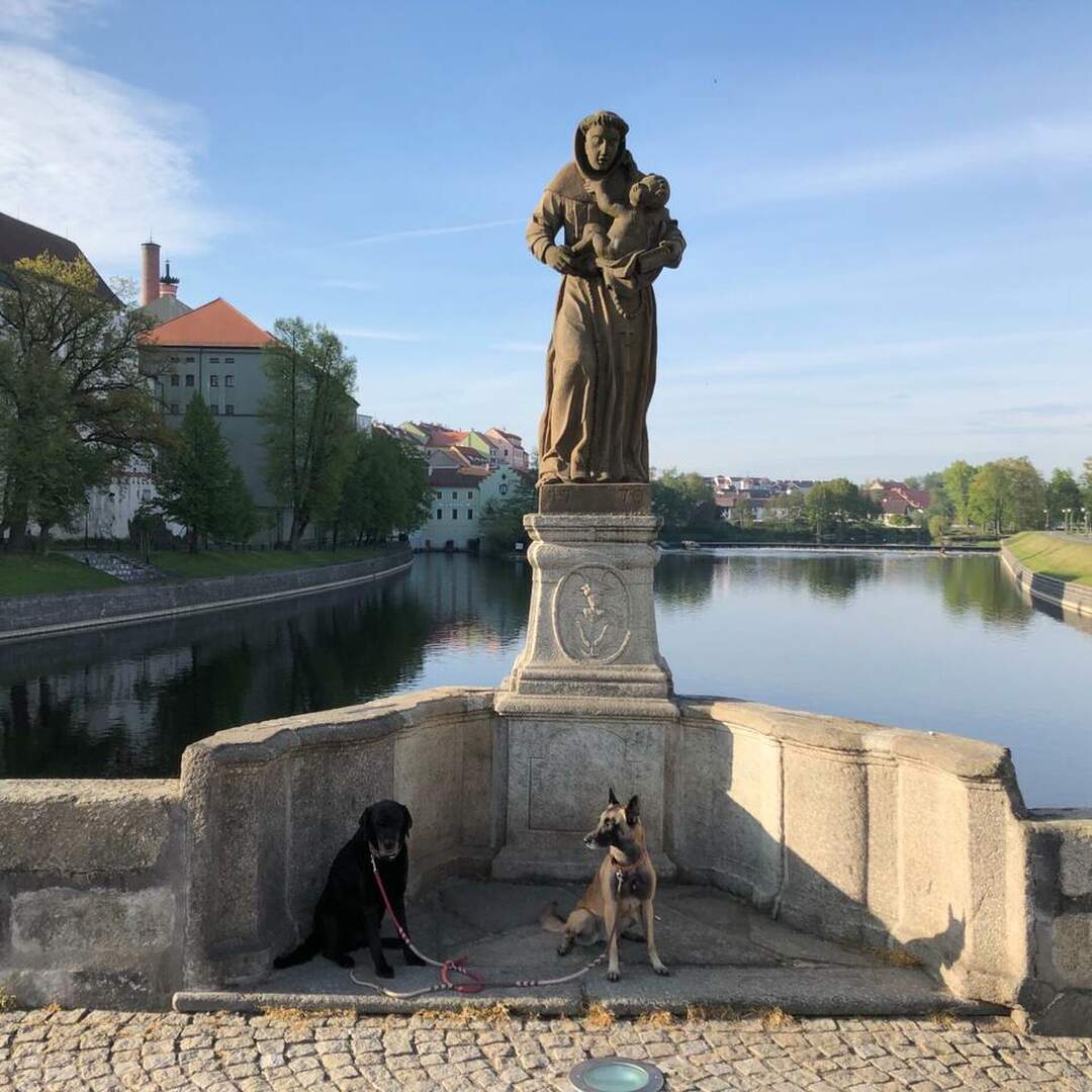 Irgendwo im Norden 2019