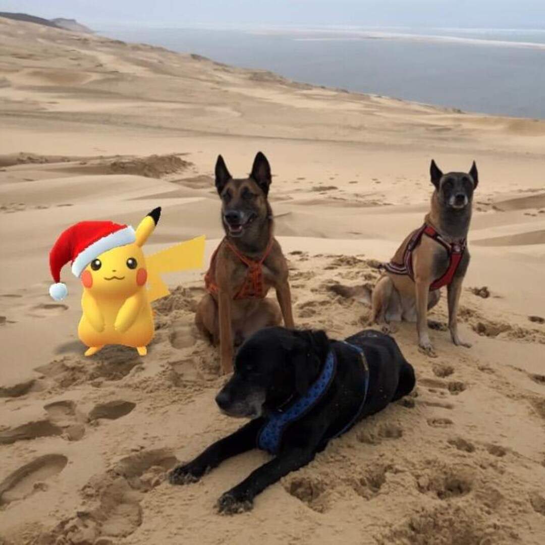 Überwintern 2019