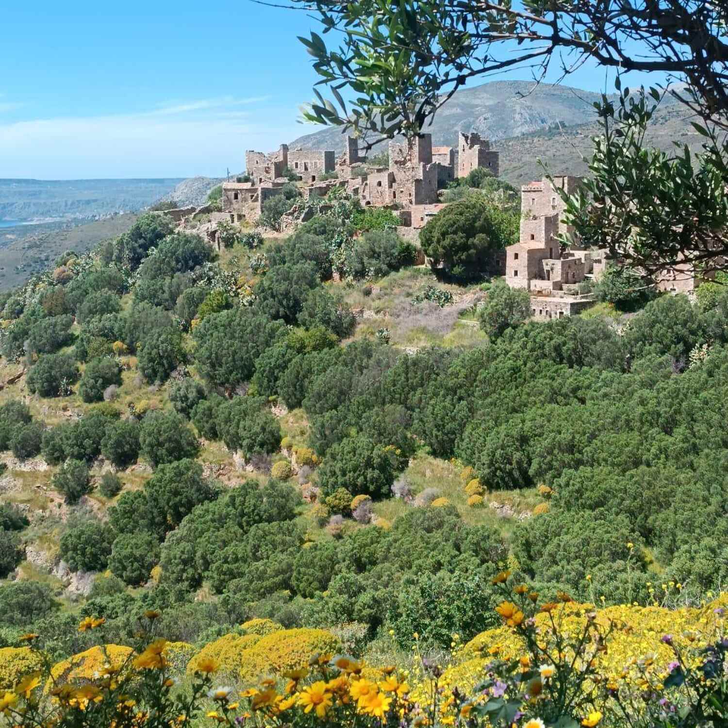 🇬🇷 wir kommen ❤️