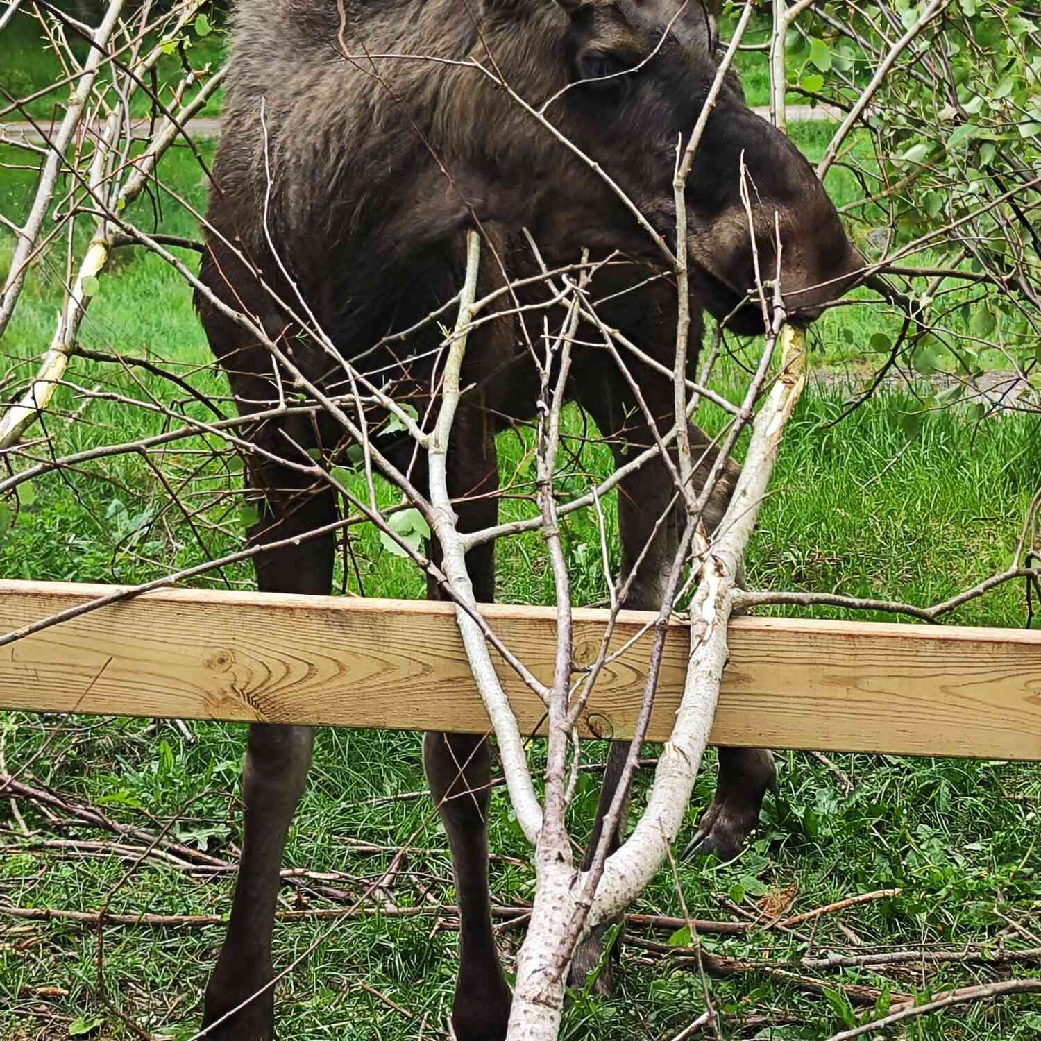Südschweden 🇸🇪