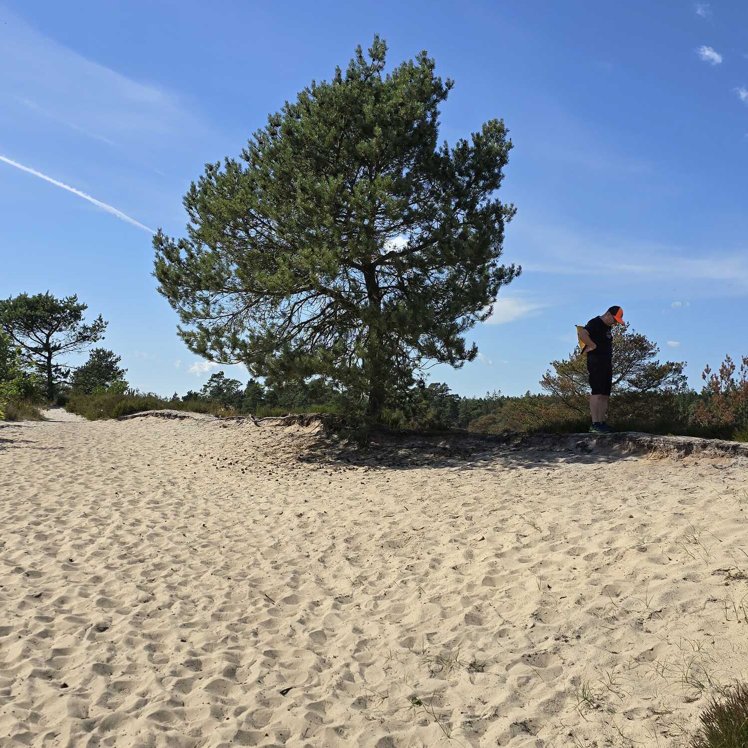 Kleine Sommerreise Dänemark
