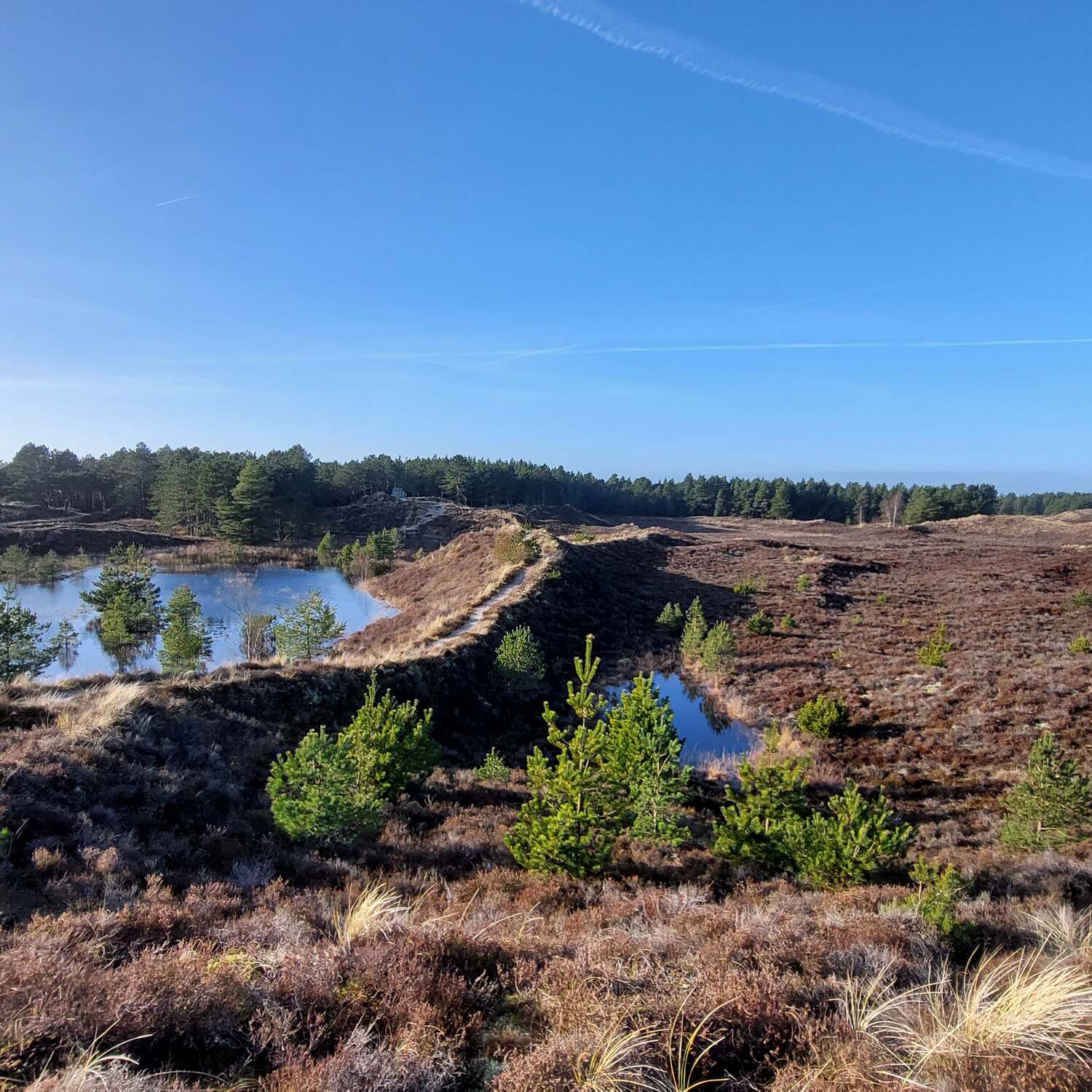 Erster Kurztrip 2024 Rømø