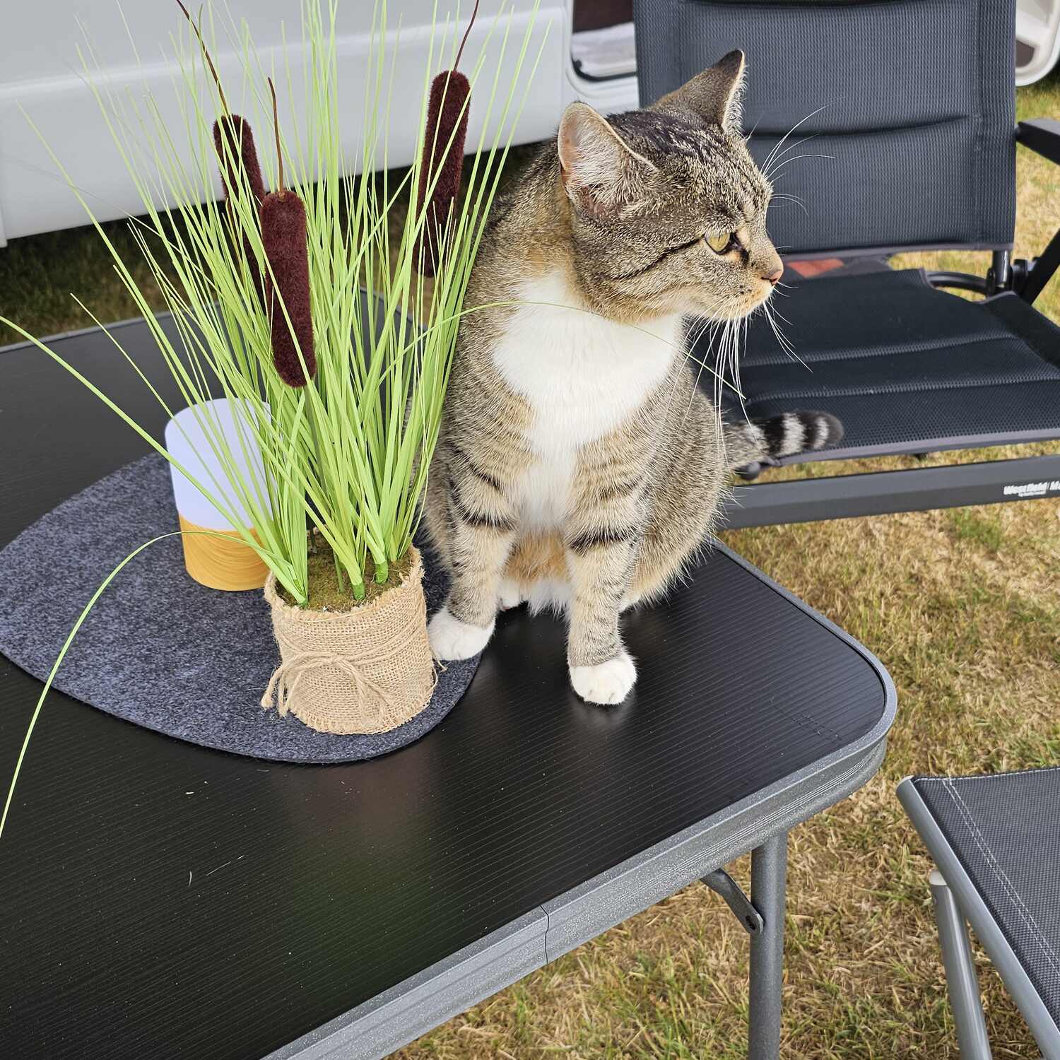 Wochenende Lysabildskov #2