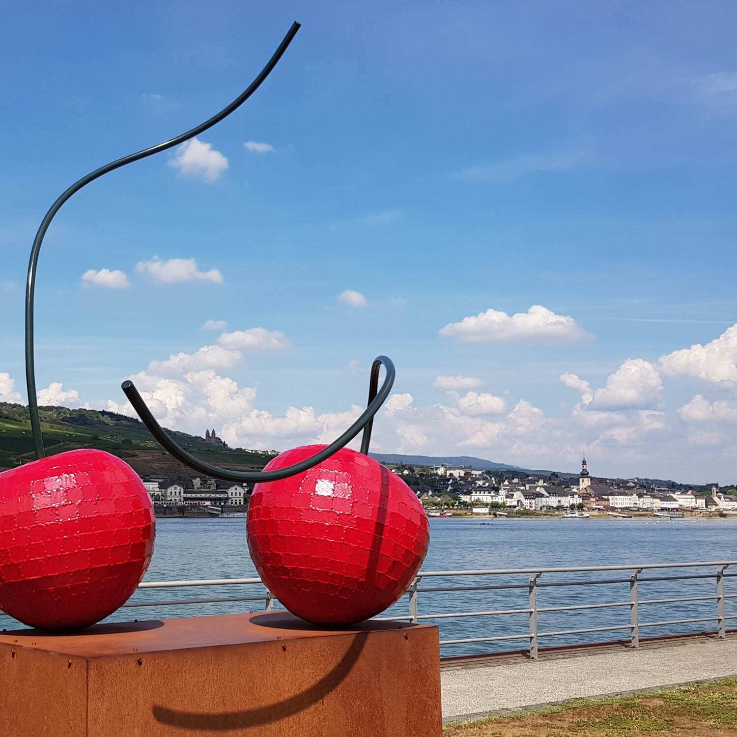 Bingen + Rüdesheim 2020