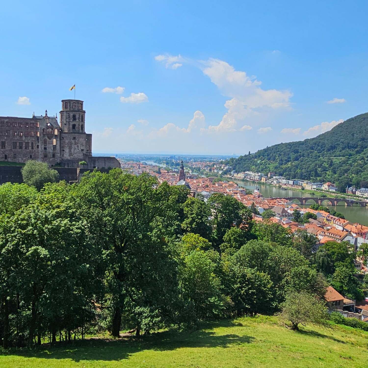 Heidelberg 2024