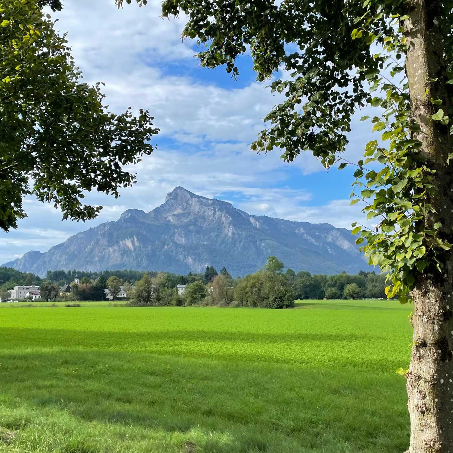 Von den Alpen zur Adria