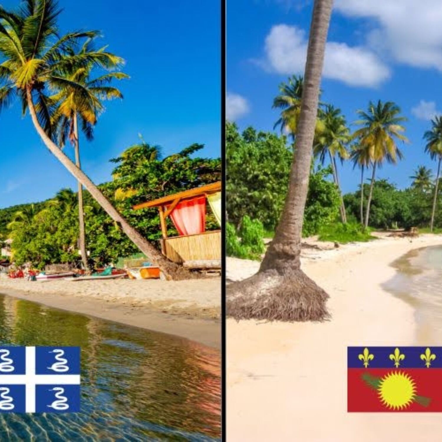 Guadeloupe & Martinique 2026