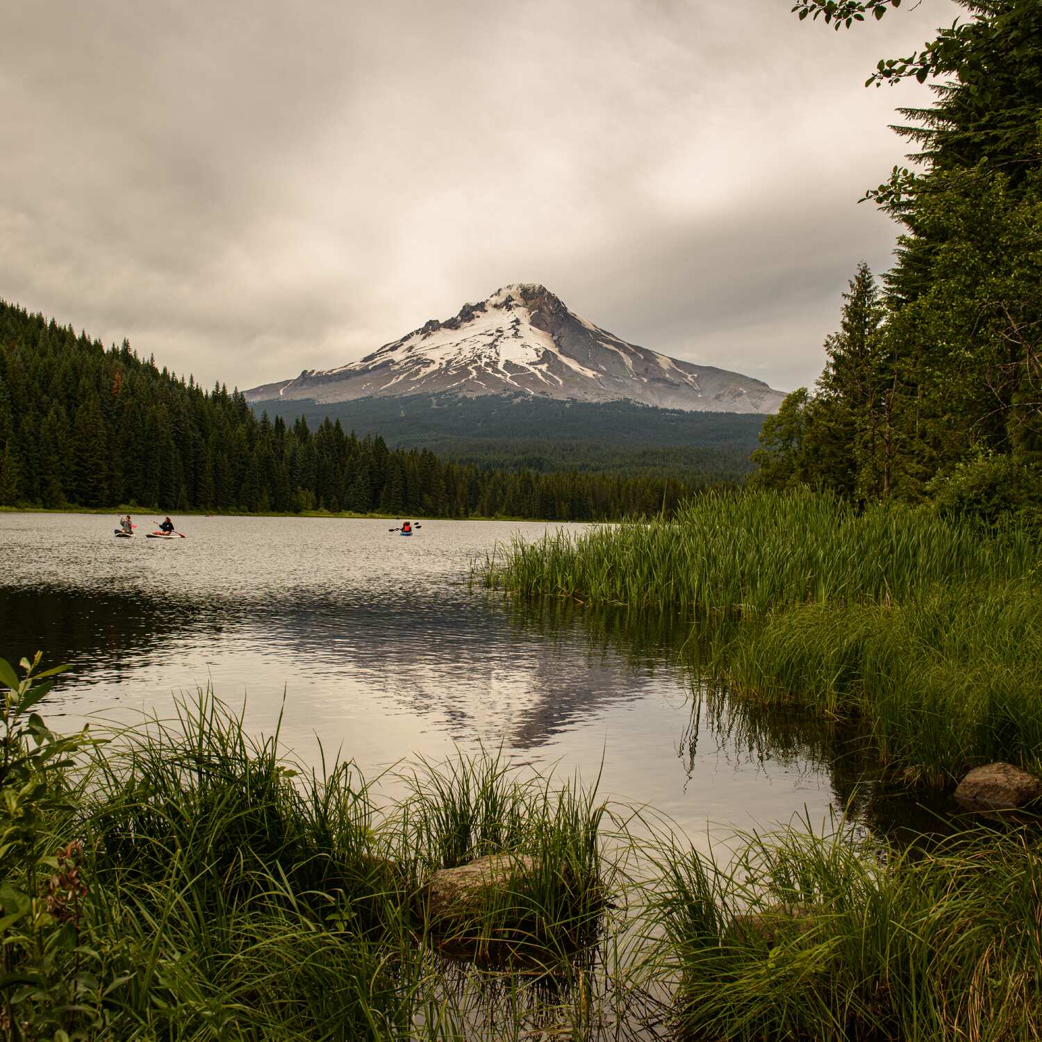 Oregon and the return home