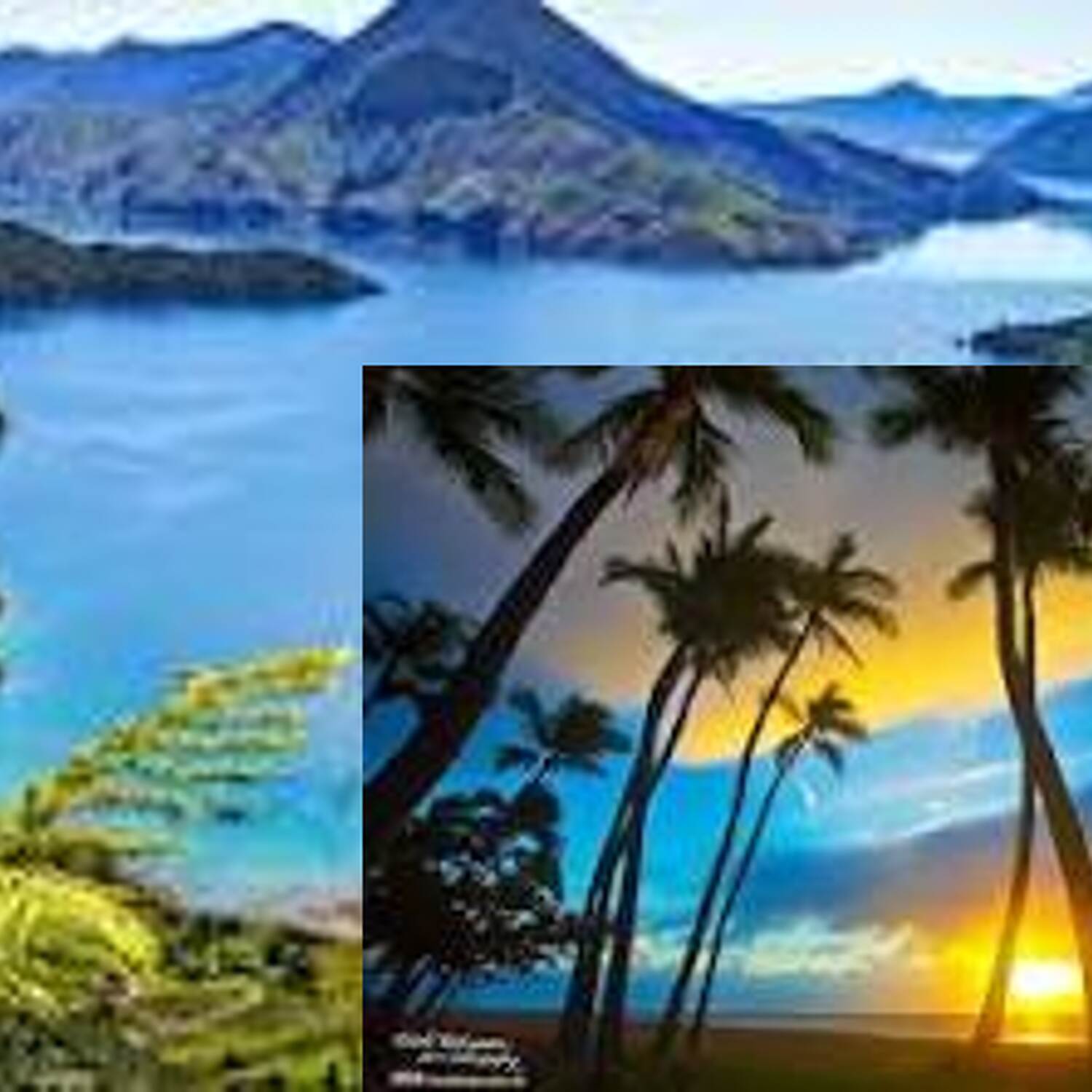 Neuseeland und Hawaii 2024