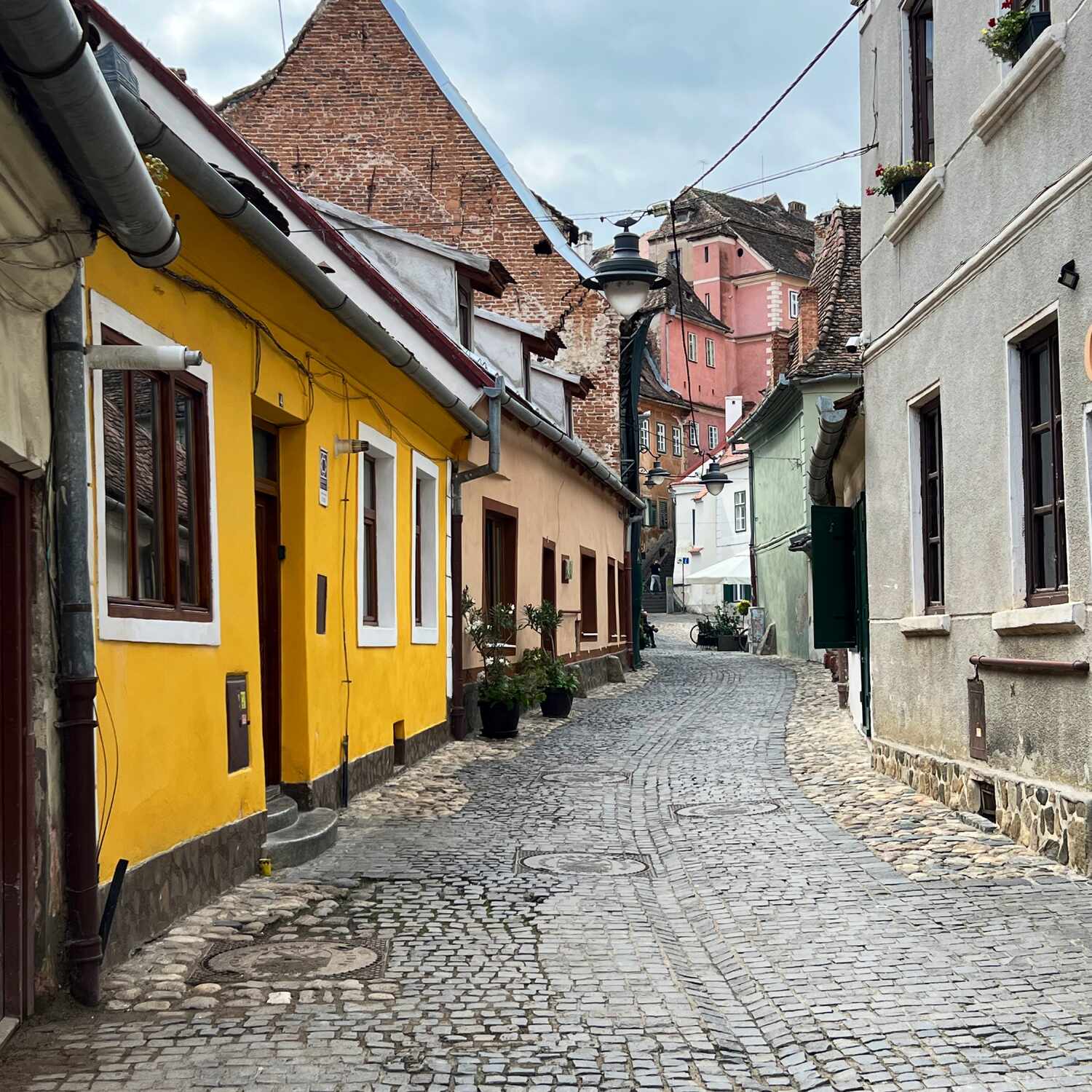 Auf den Spuren von Dracula