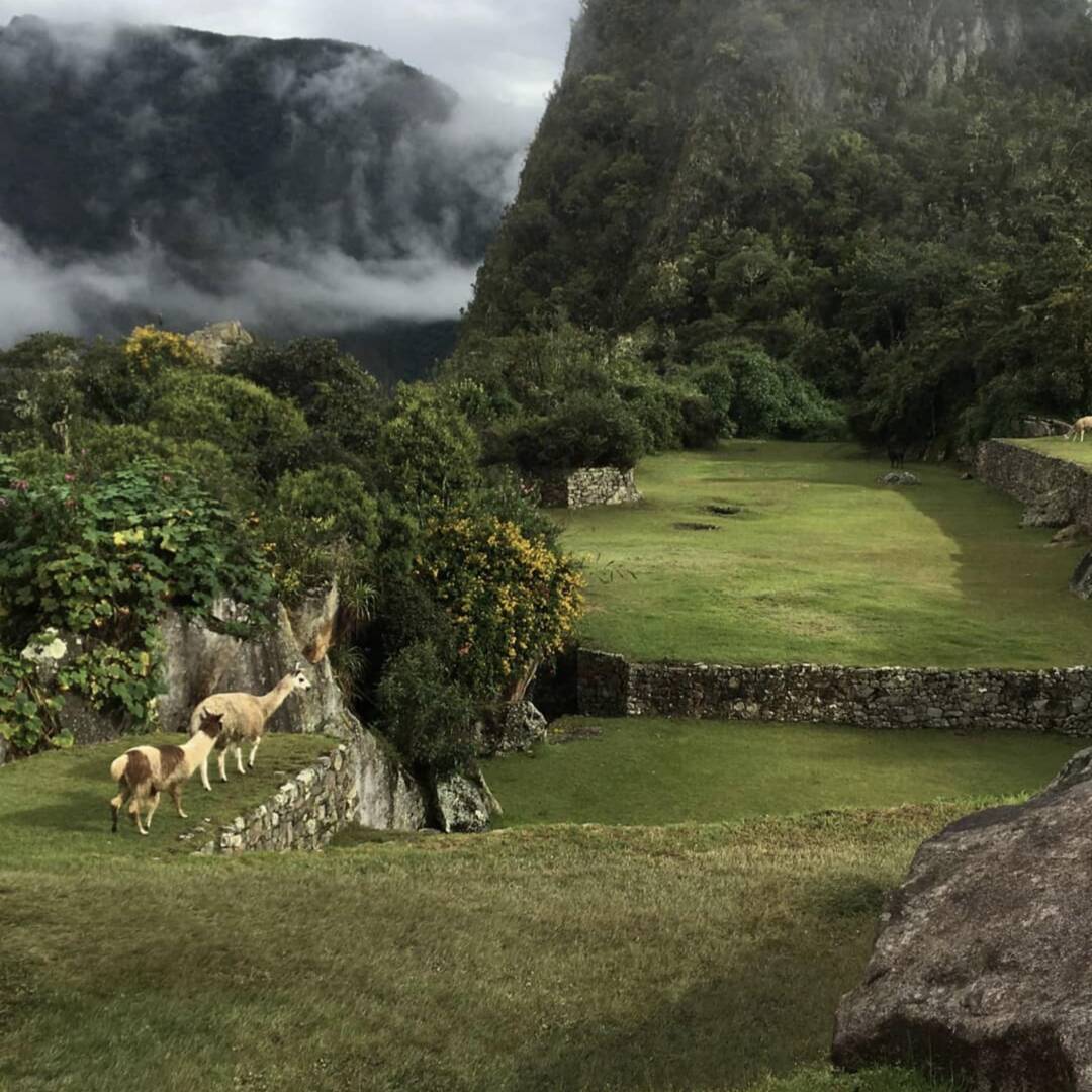 Peru, Bolivia and Colombia