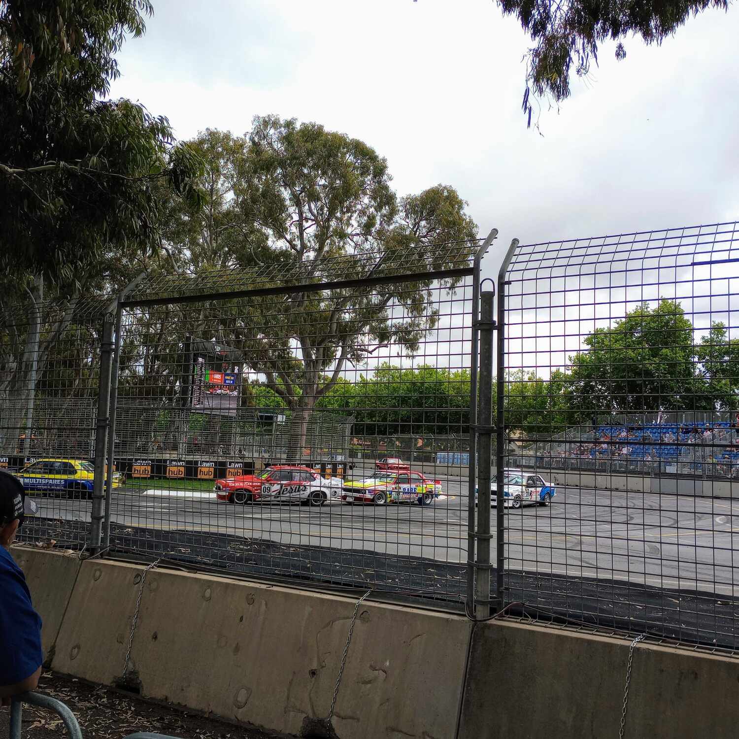 Revving Radelaide