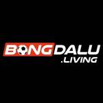 BONGDA LU
