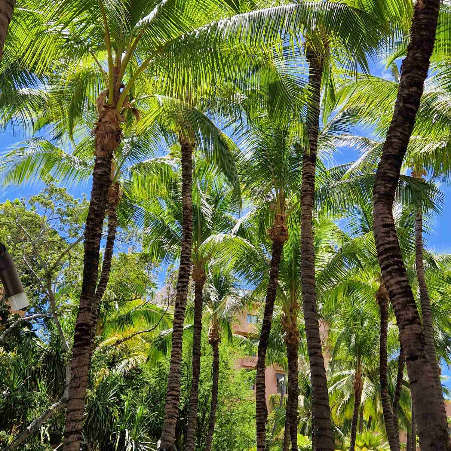 An das andere Ende der Welt...