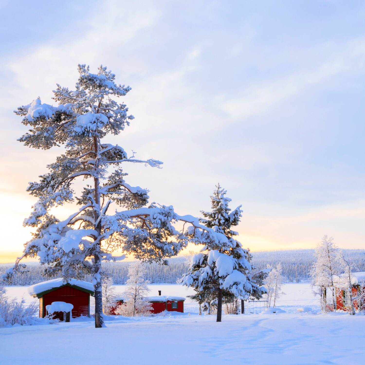 Lappland 2024