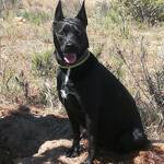 Eva und Dietrich Lehmann