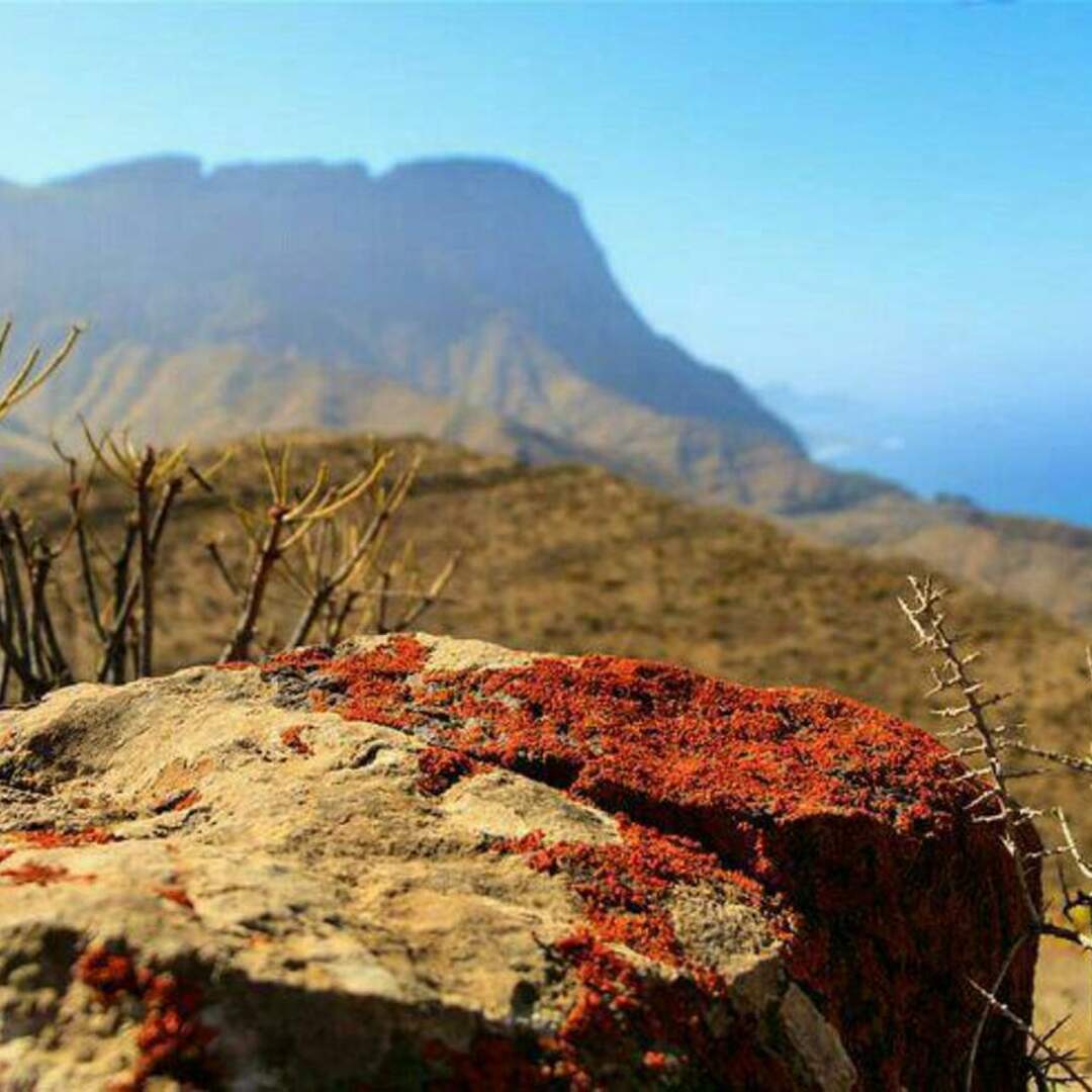 Gran Canaria