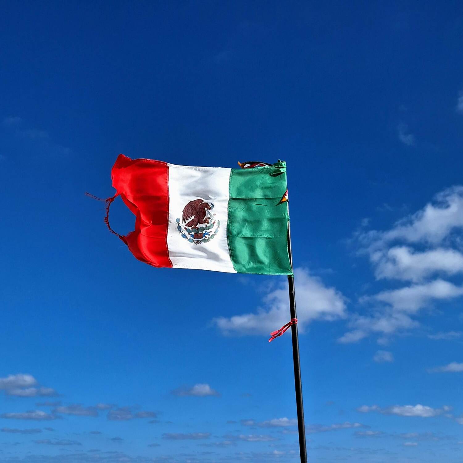 ¡Hola!
