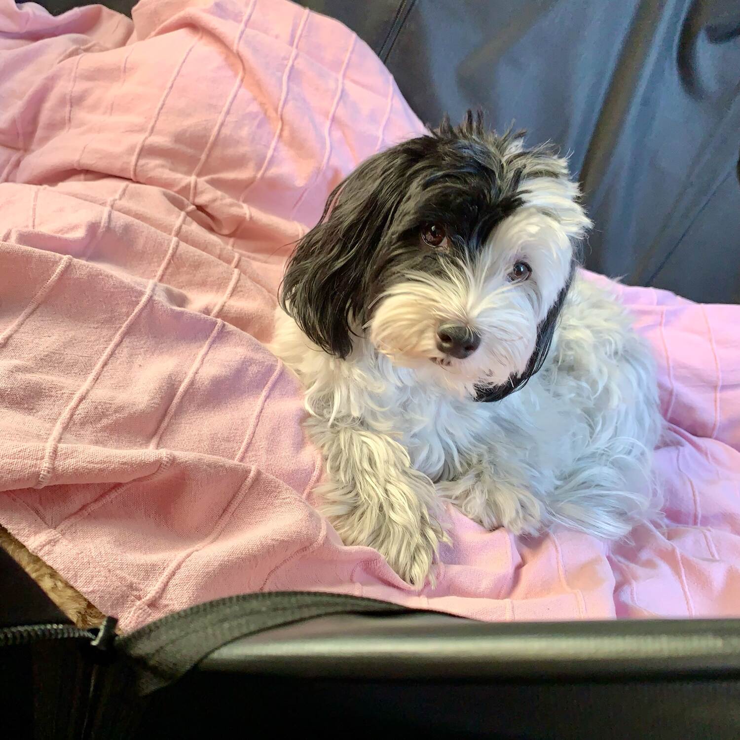 Io&Brie verso la Francia