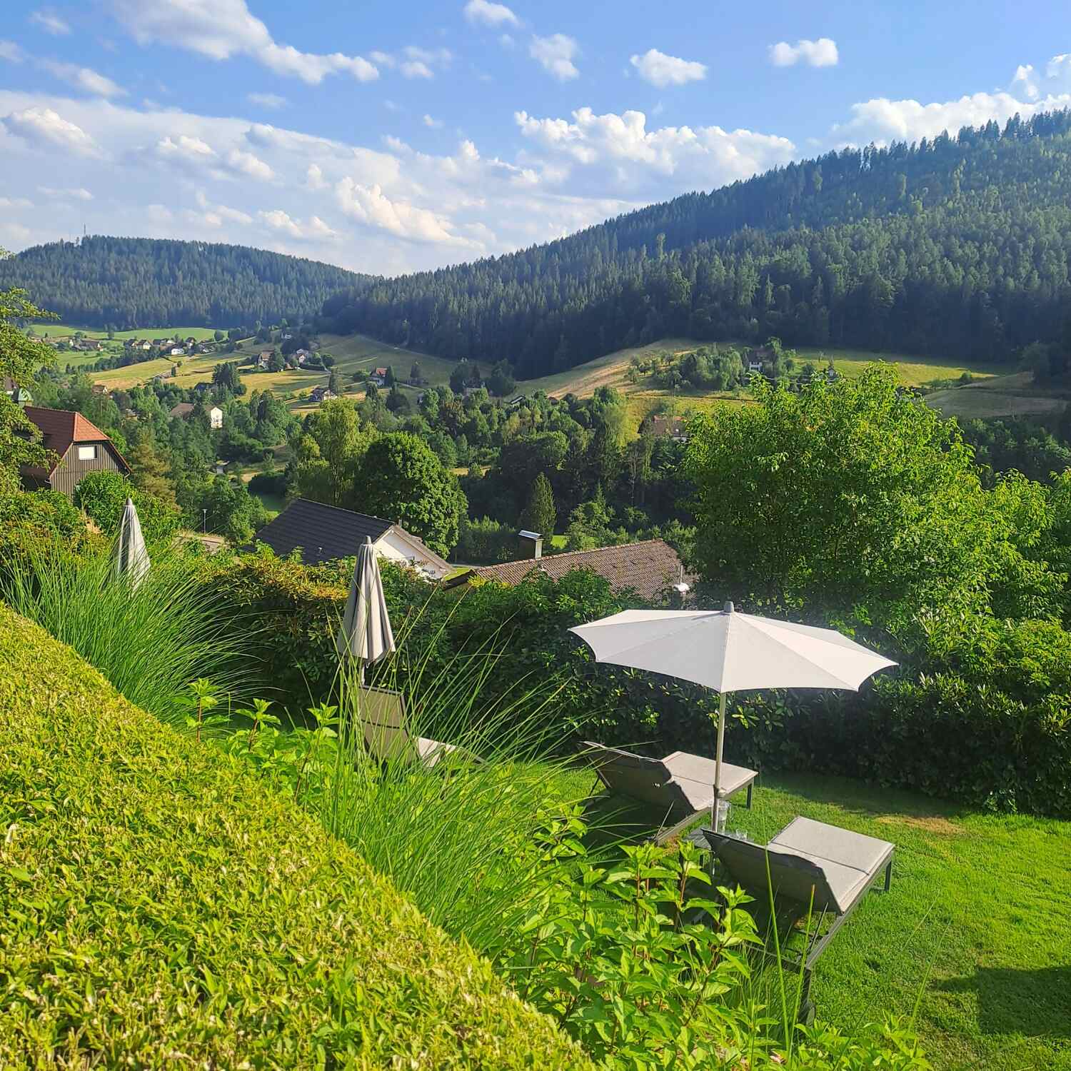 HOLIDAY IN BLACK FORREST