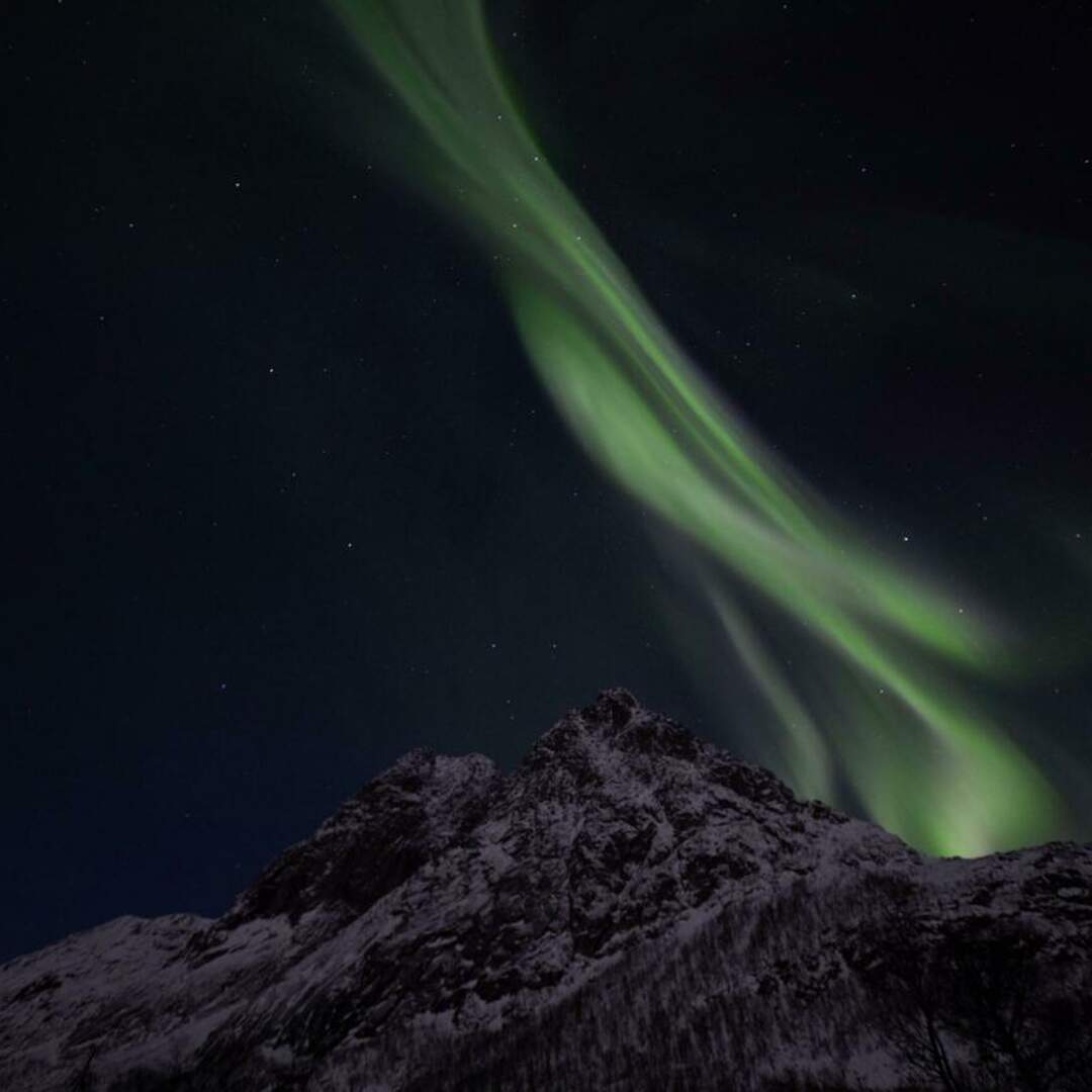Tromsø 2019