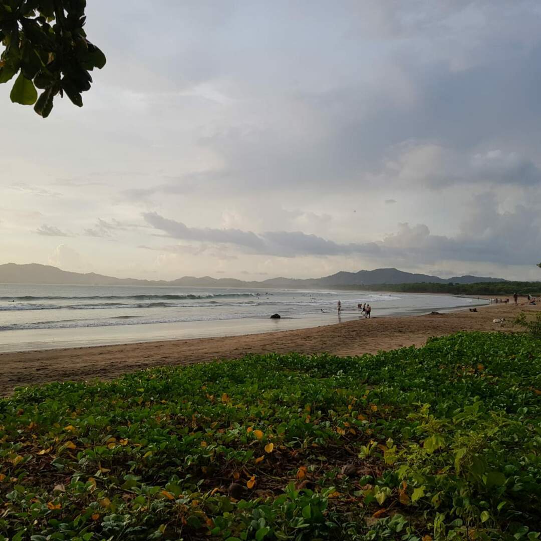 Surf & Travel