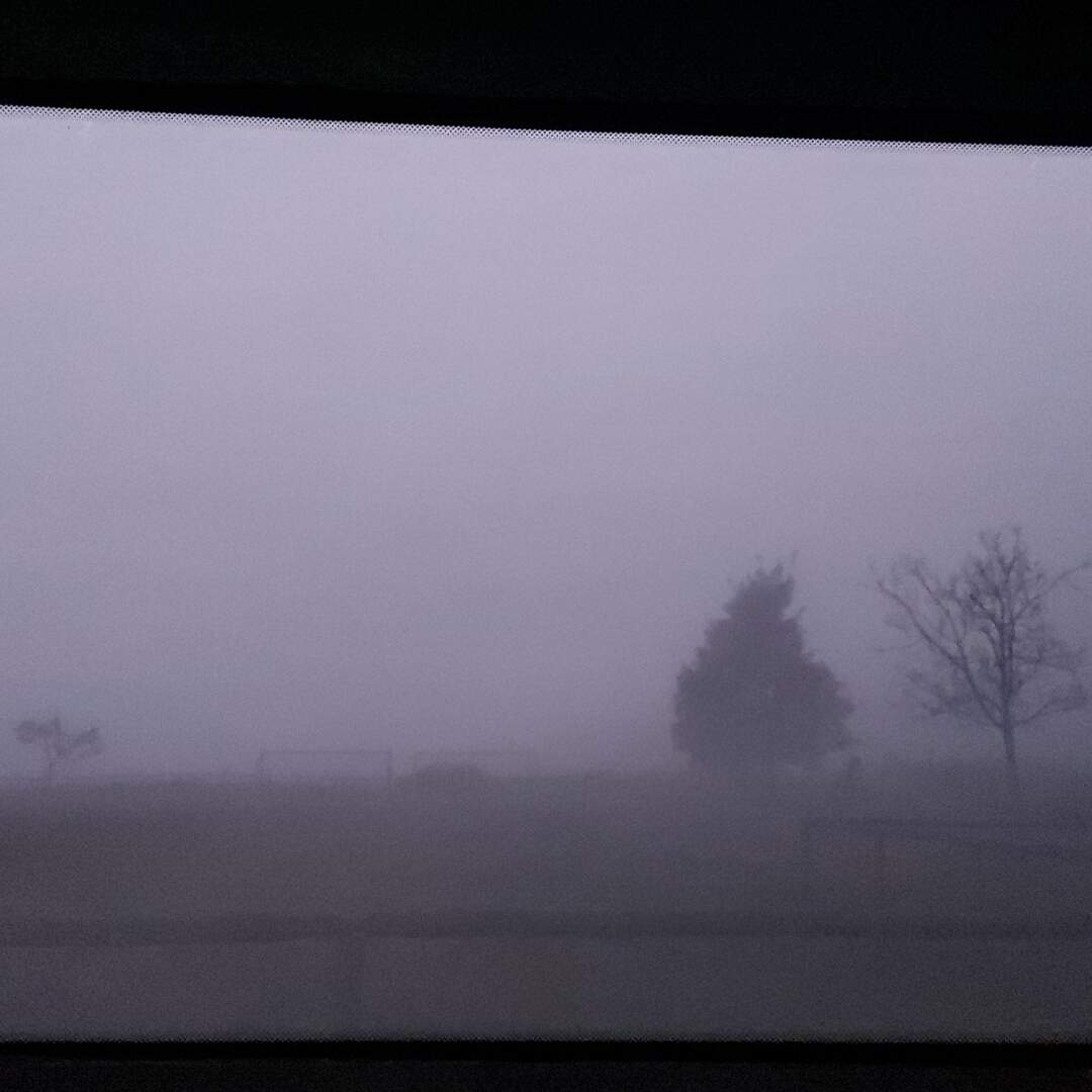 Blick über'n Tellerrand