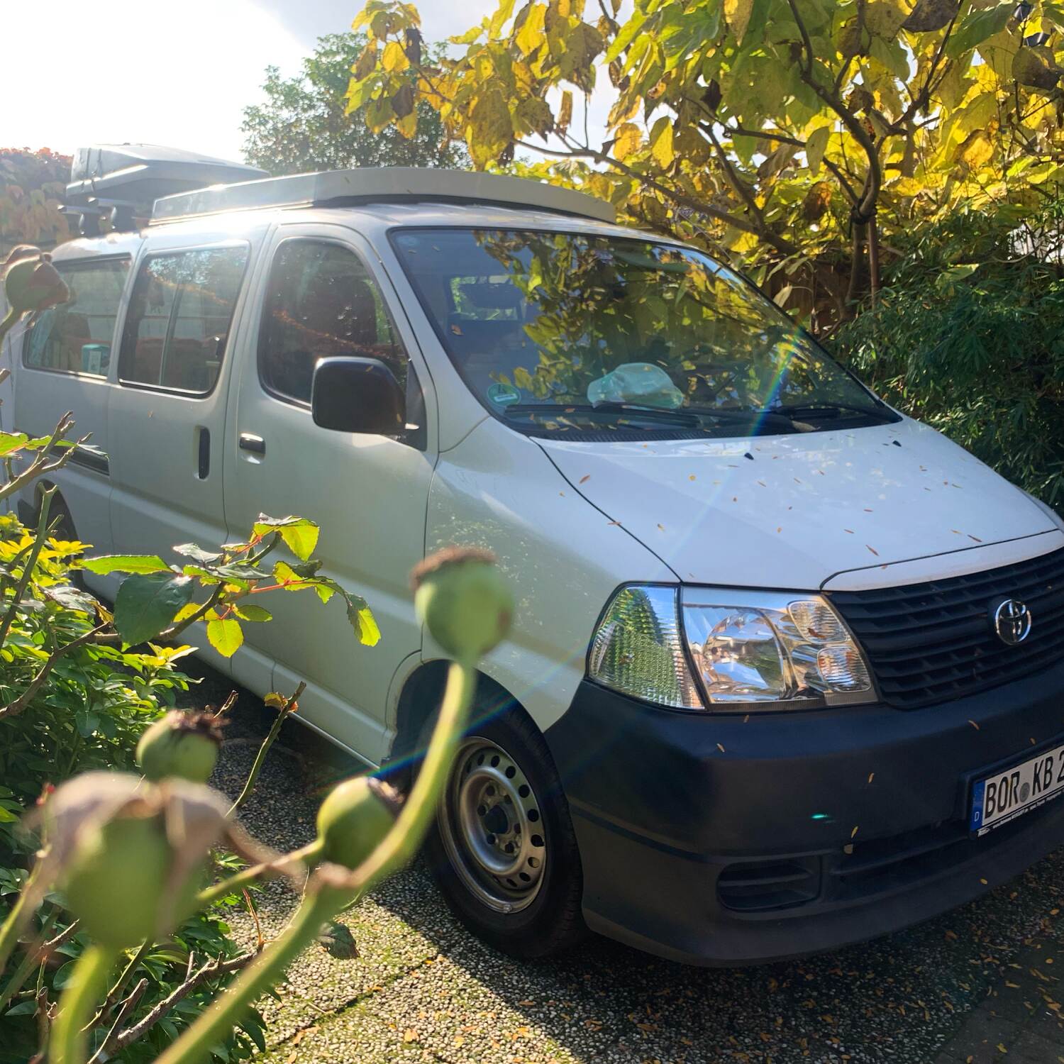 AIKO-Einfach mal los