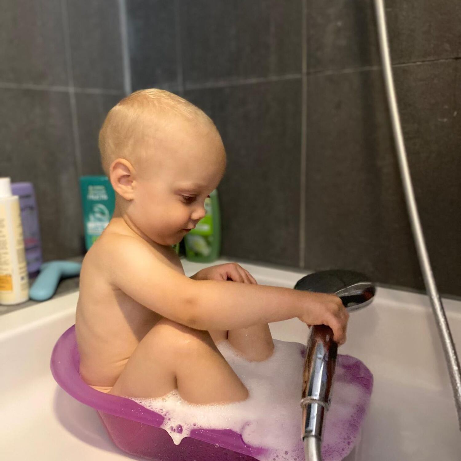 Eddies 2. Geburtstag