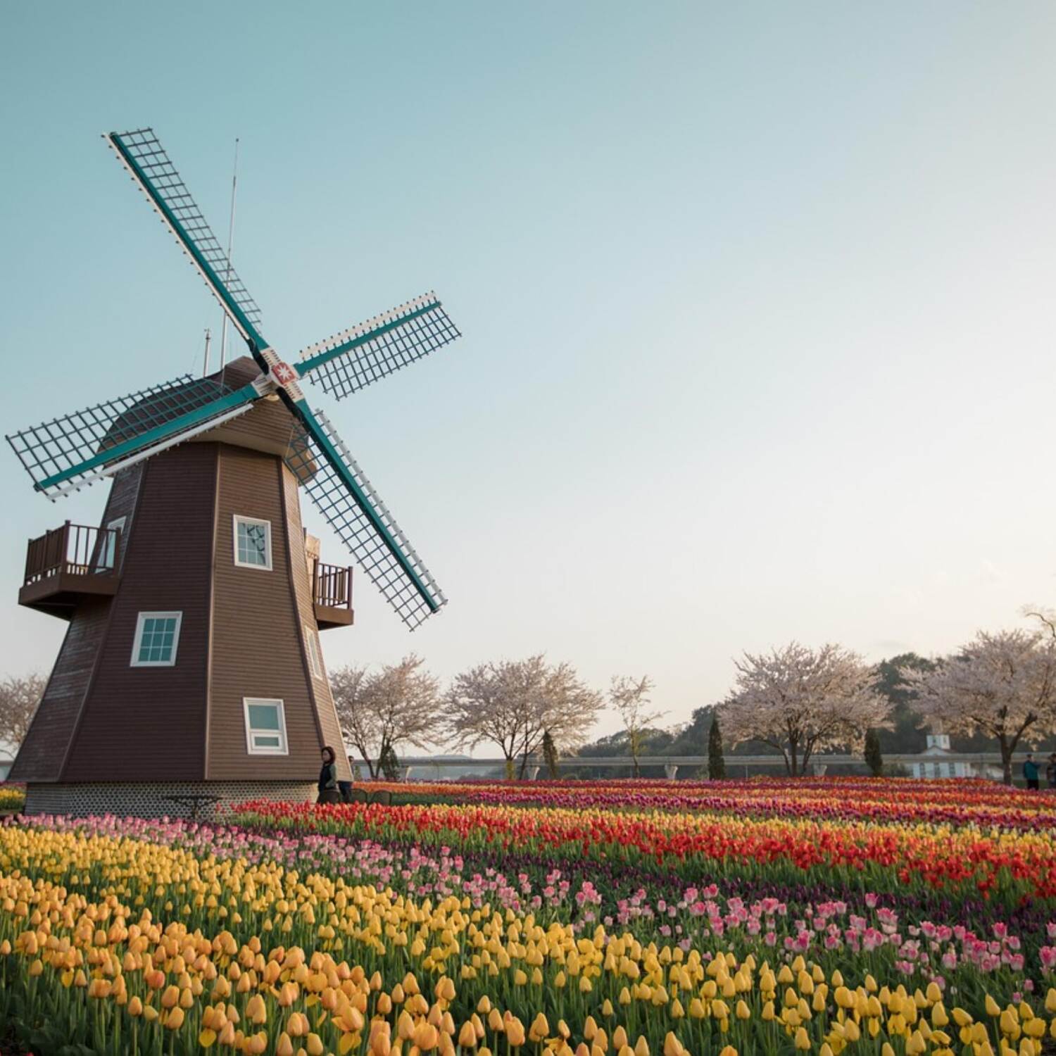 In Holland mit Enkelin Melina