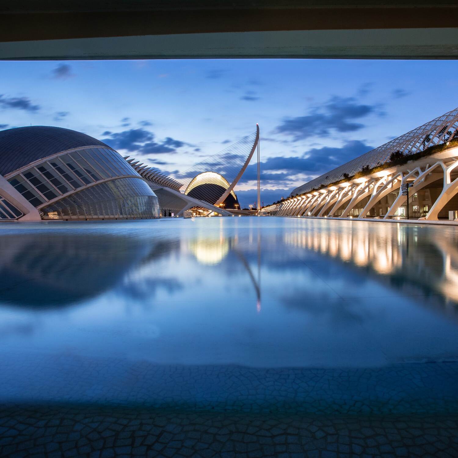Troparctical Valencia