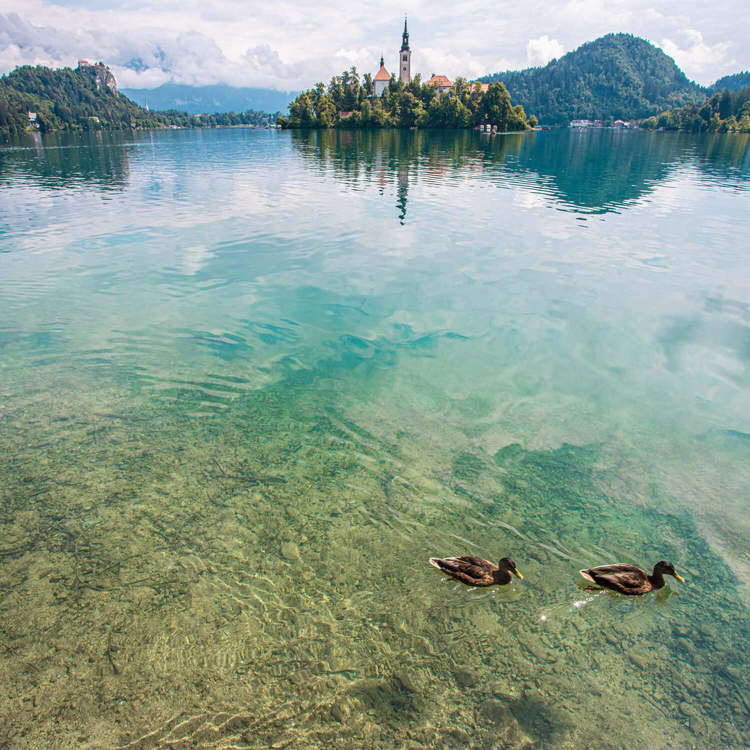 Tour de Slovenie