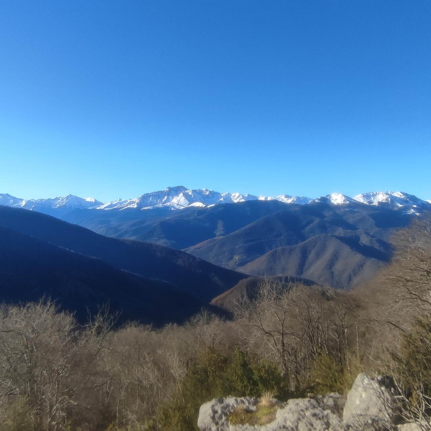 Peine haute
